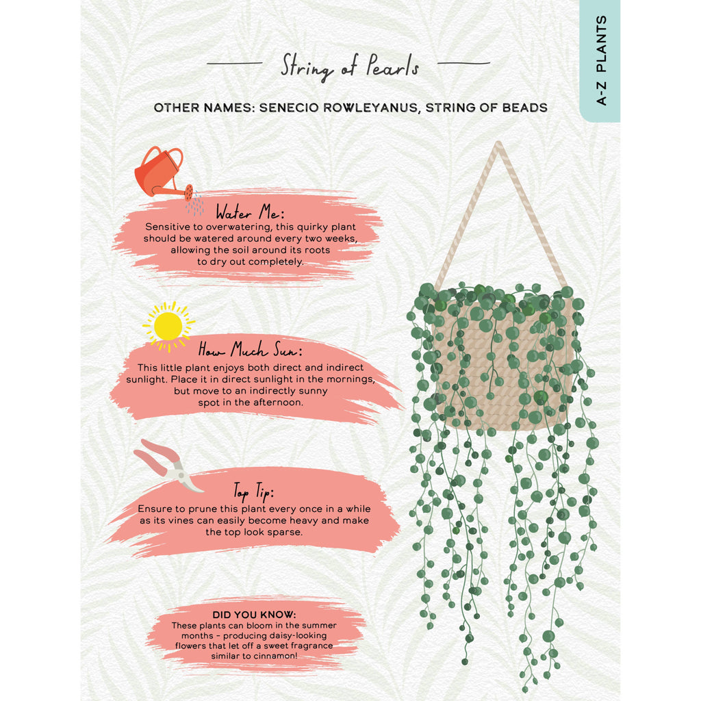 Please Don't Die - House Plants Guide Gift Book