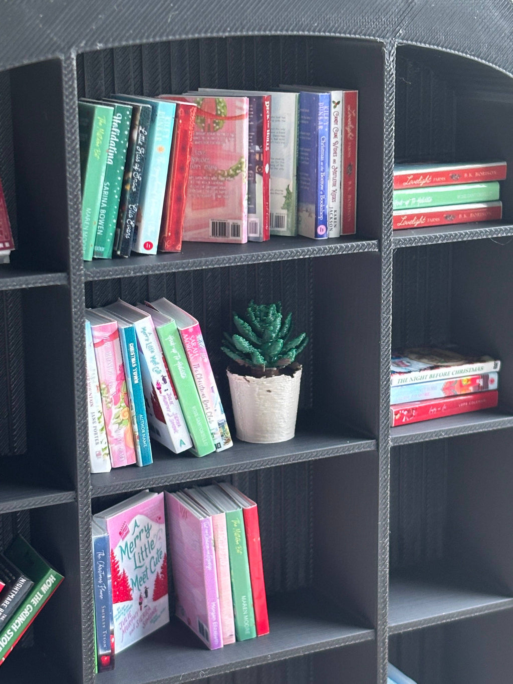 Mini Succulent To Miniature Bookshelf