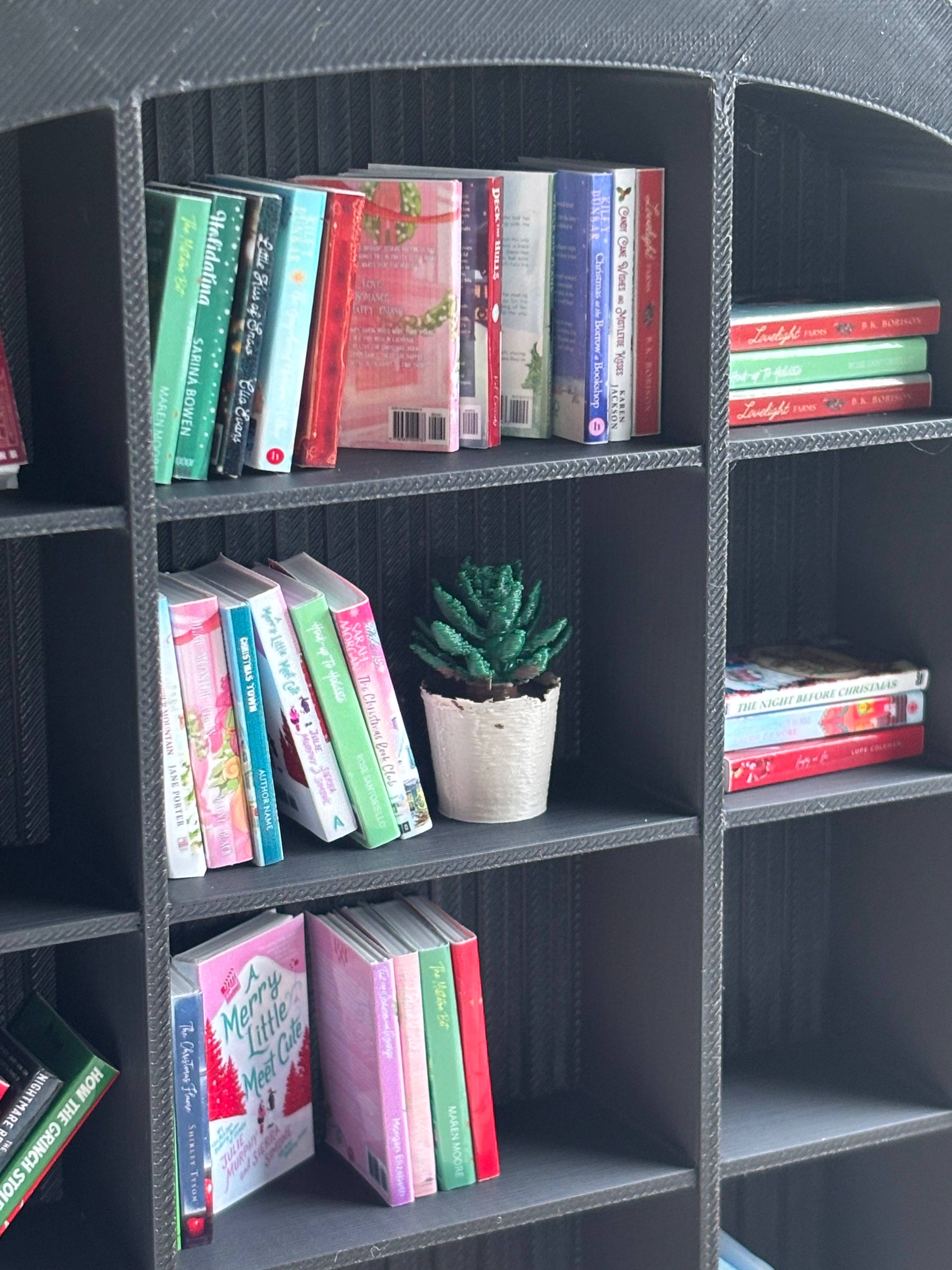 Mini Succulent To Miniature Bookshelf