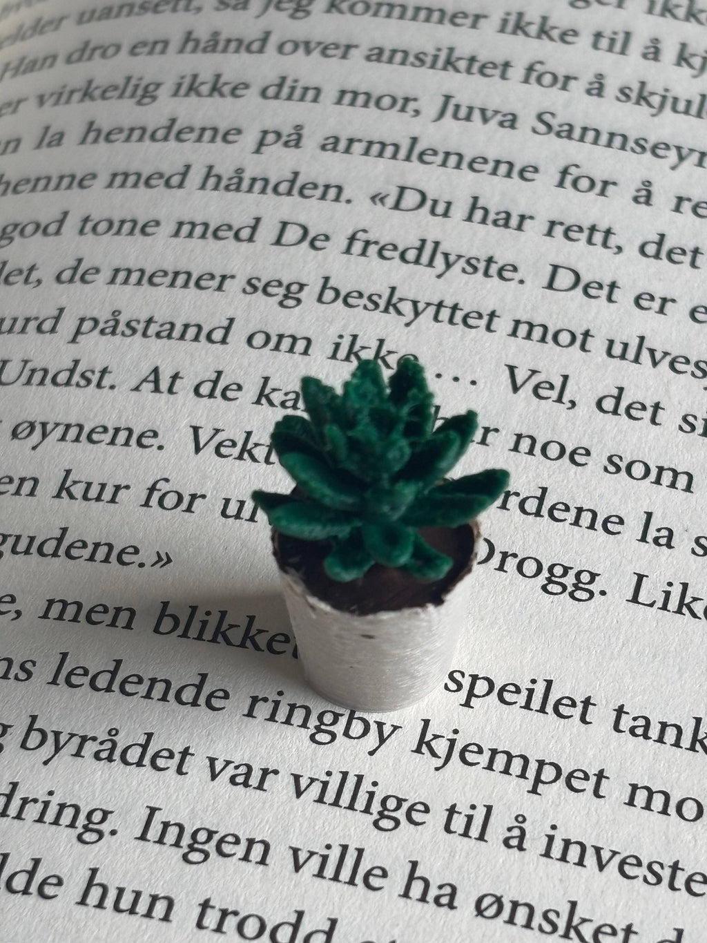 Mini Succulent To Miniature Bookshelf
