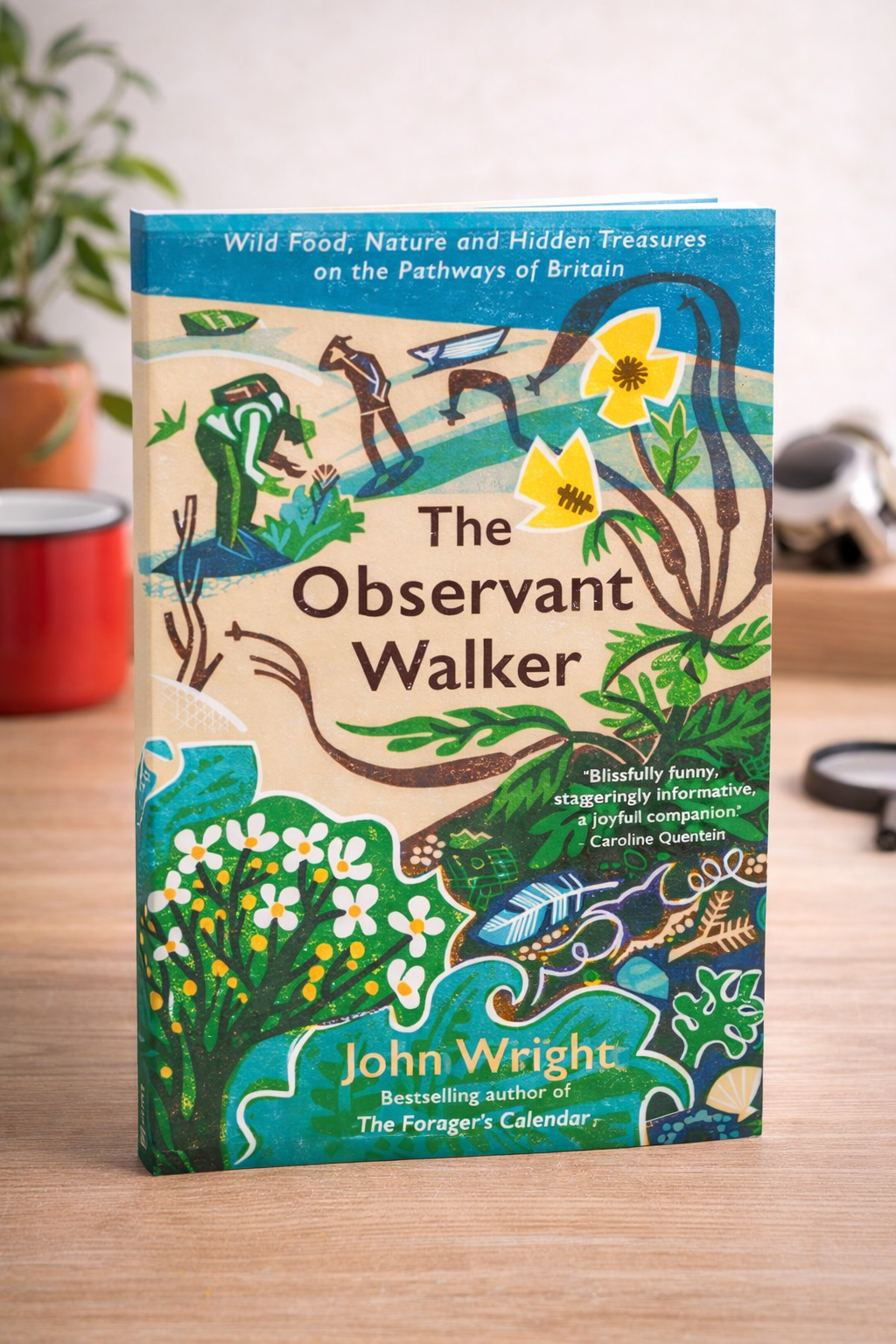 The Observant Walker by John Wright