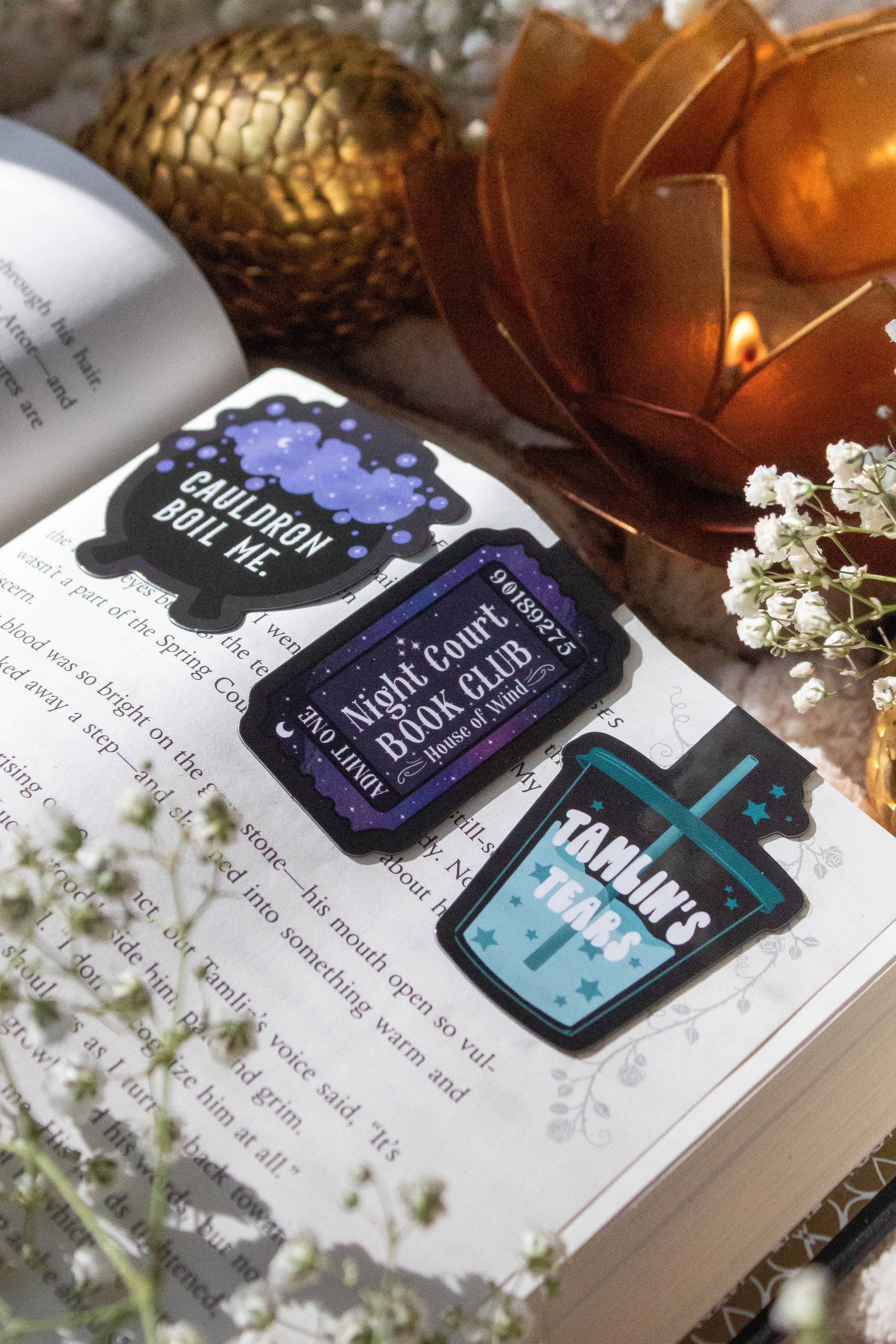 Set of 3 Magnetic Bookmarks - ACOTAR