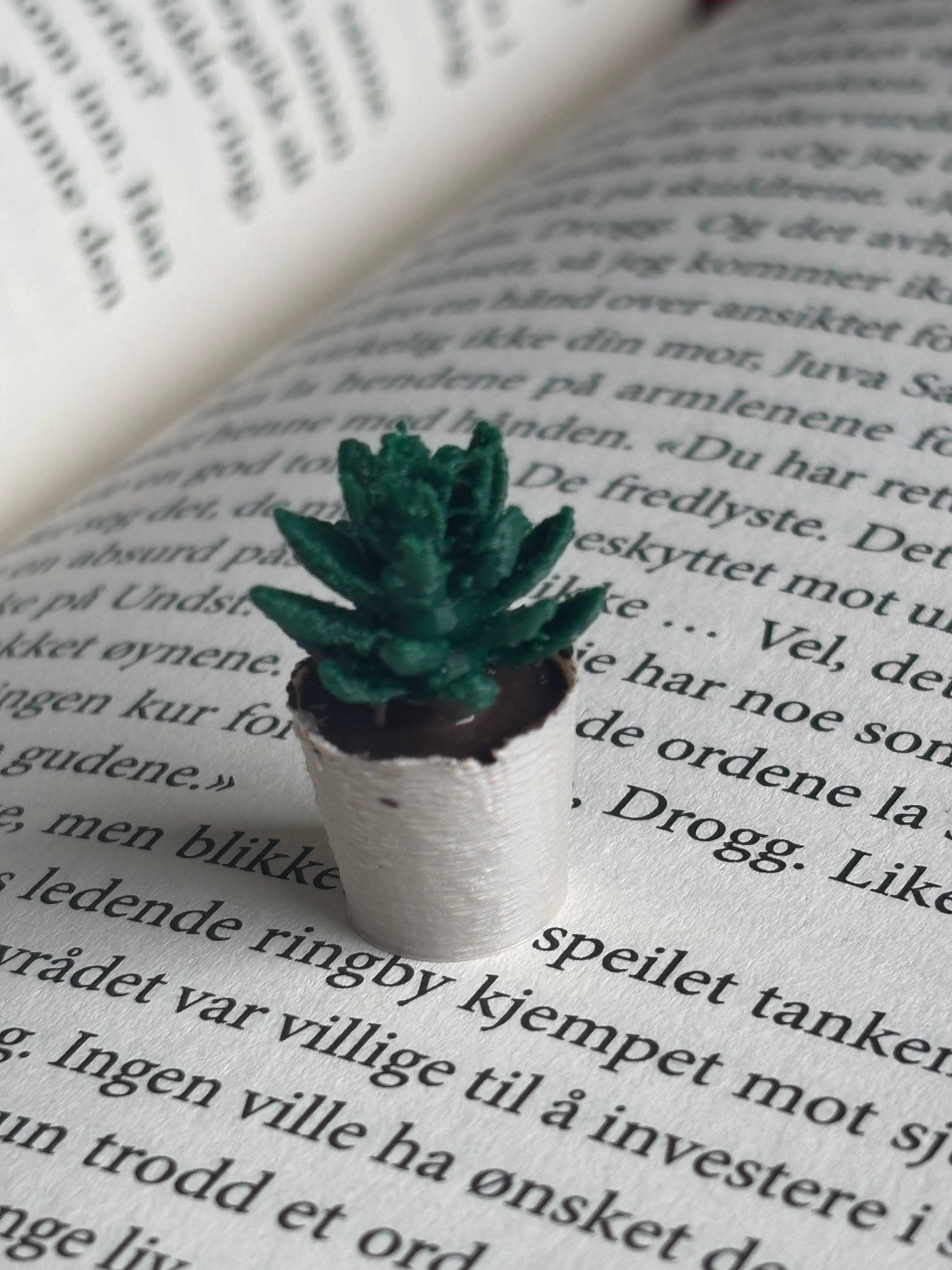 Mini Succulent To Miniature Bookshelf